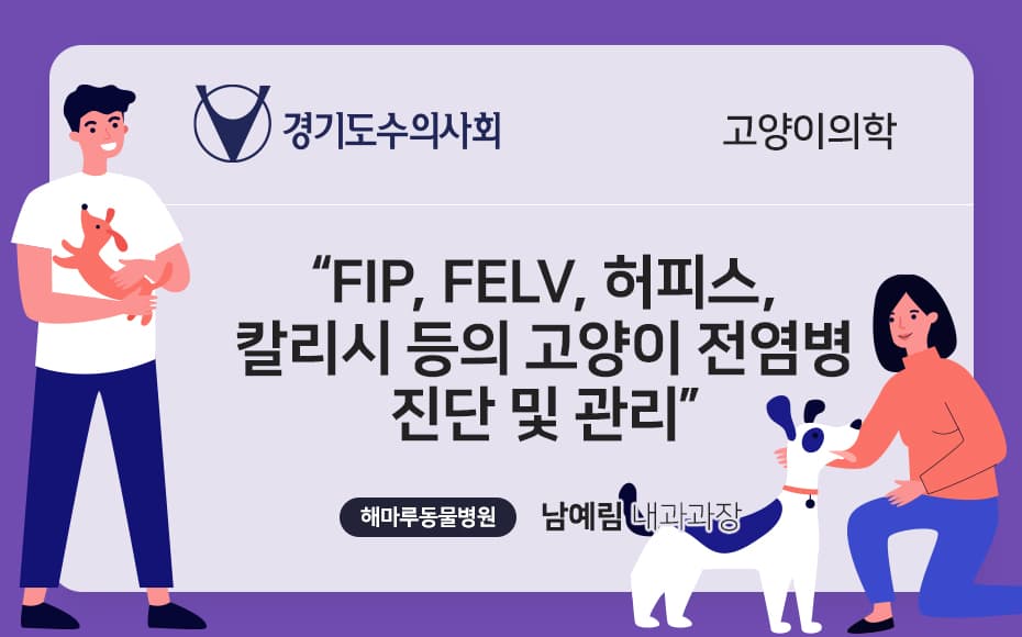 FIP, FeLV, 허피스,칼리시 등의  고양이 전염병 진단 및 관리